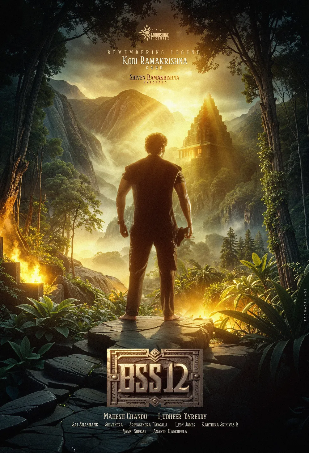 Haindava poster